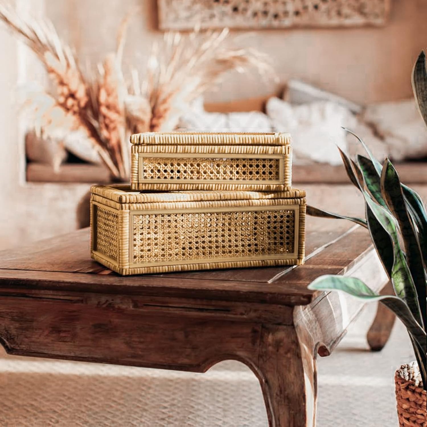 Handwoven Rattan Display Boxes with Glass Lids thumbnail