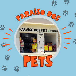 Página Instagram  thumbnail