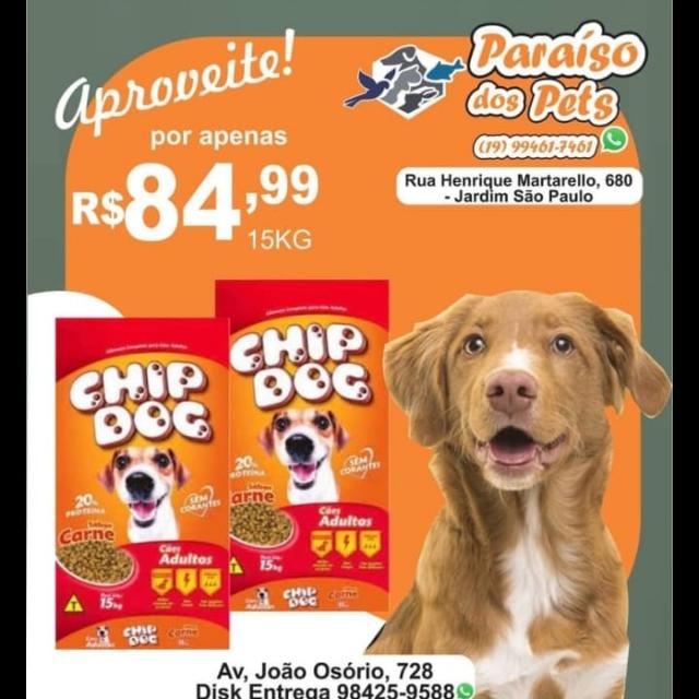 WhatsApp Bussines  thumbnail