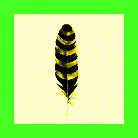 Stunning shiny life feather 3D anime painting mini gallery high quality resolution fine art print. Awesome Rave! - Woostardom's Ko-fi Shop thumbnail