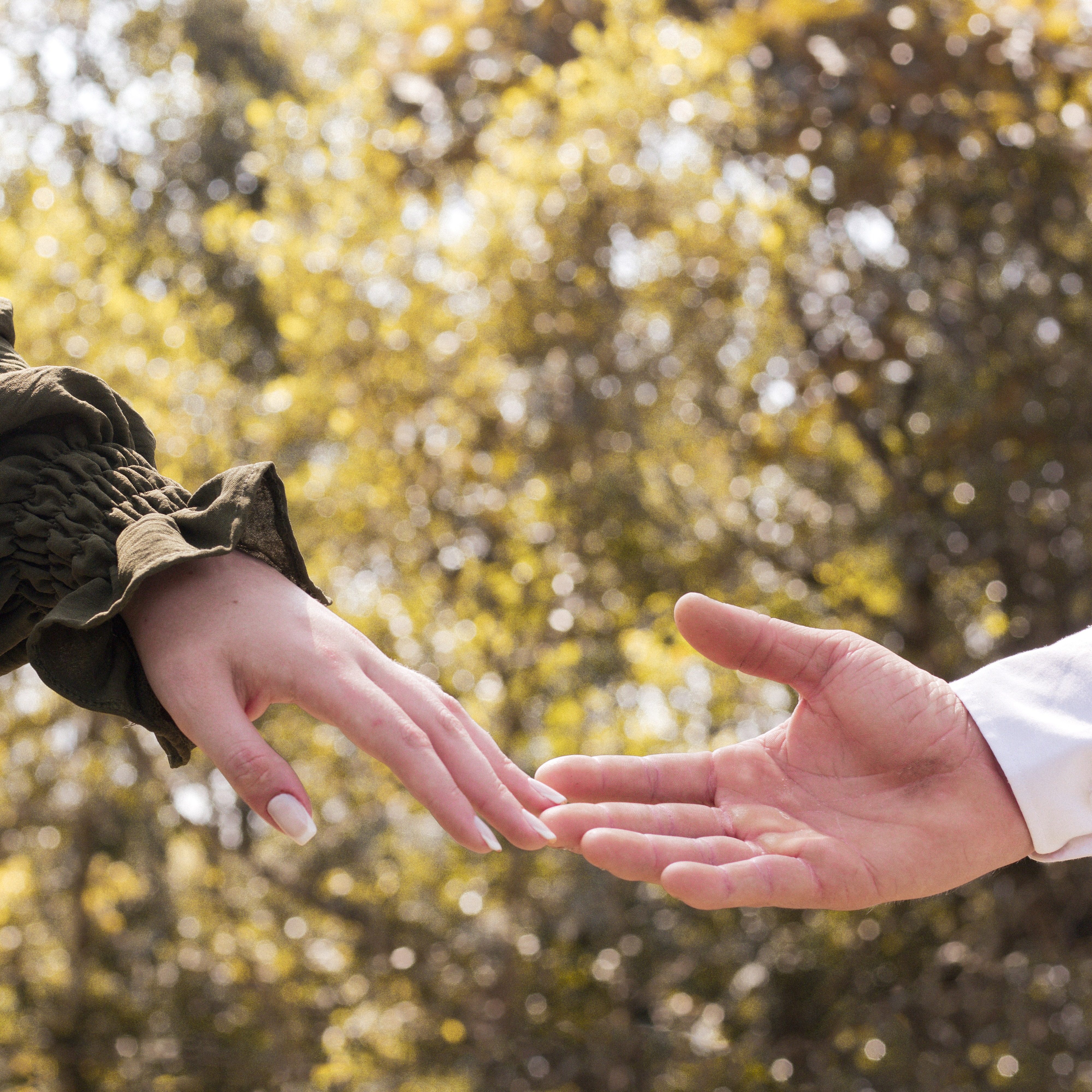 Adquira meu Pack de Presets do Lightroom thumbnail