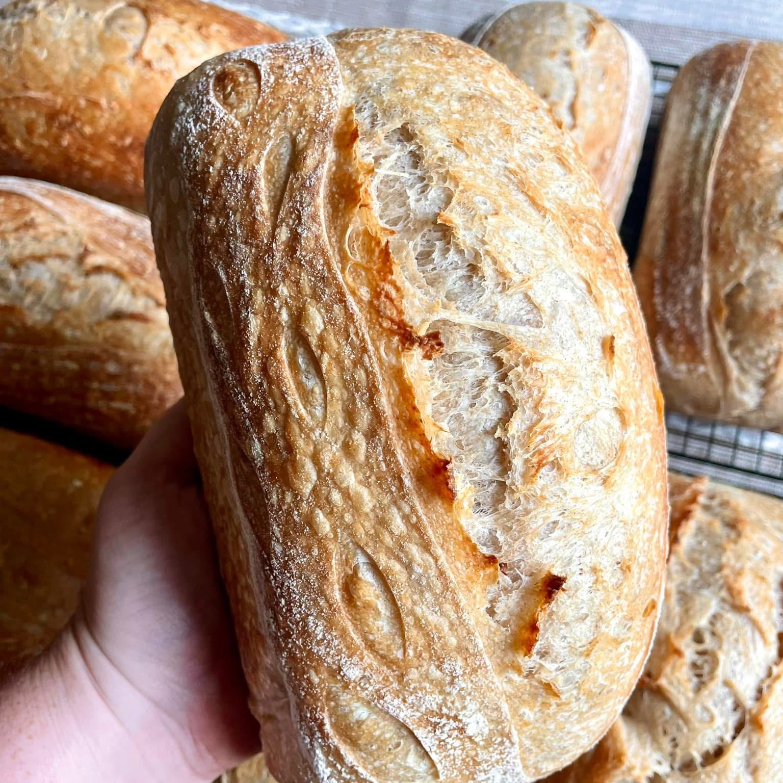 Join my Hot Plate SMS updates and never miss a drop! 📱  thumbnail