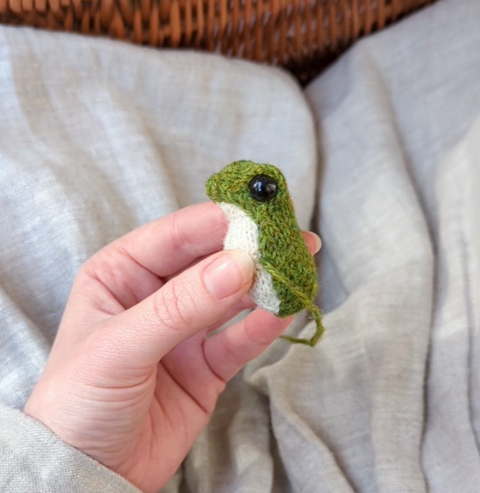 Want to knit your own frog? I used Claire Garland (@dotpebblesknits) knitting pattern to make my Frog 🐸 You can get the pattern here! thumbnail