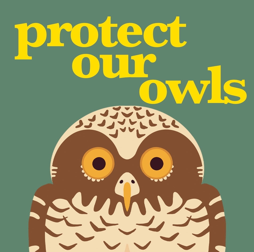 Protect our Owls thumbnail