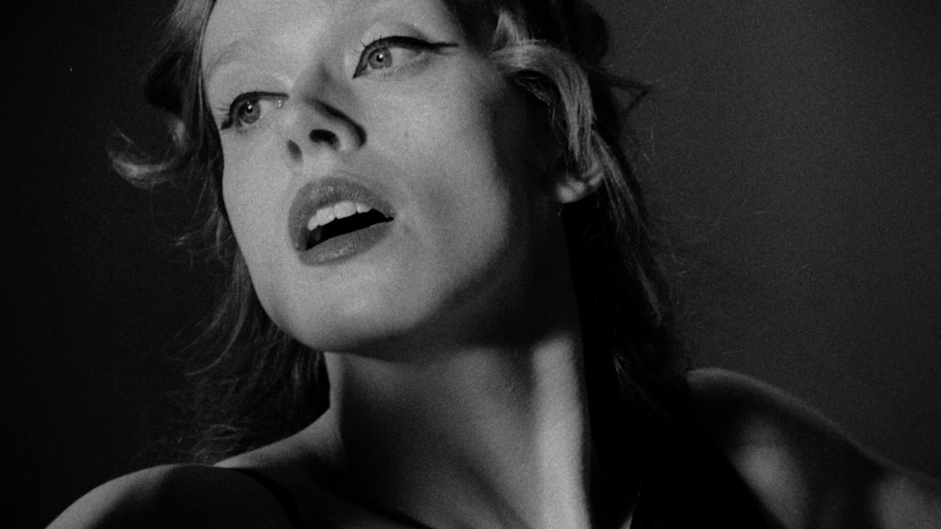 Feb 3 - Spinning their Web thumbnail