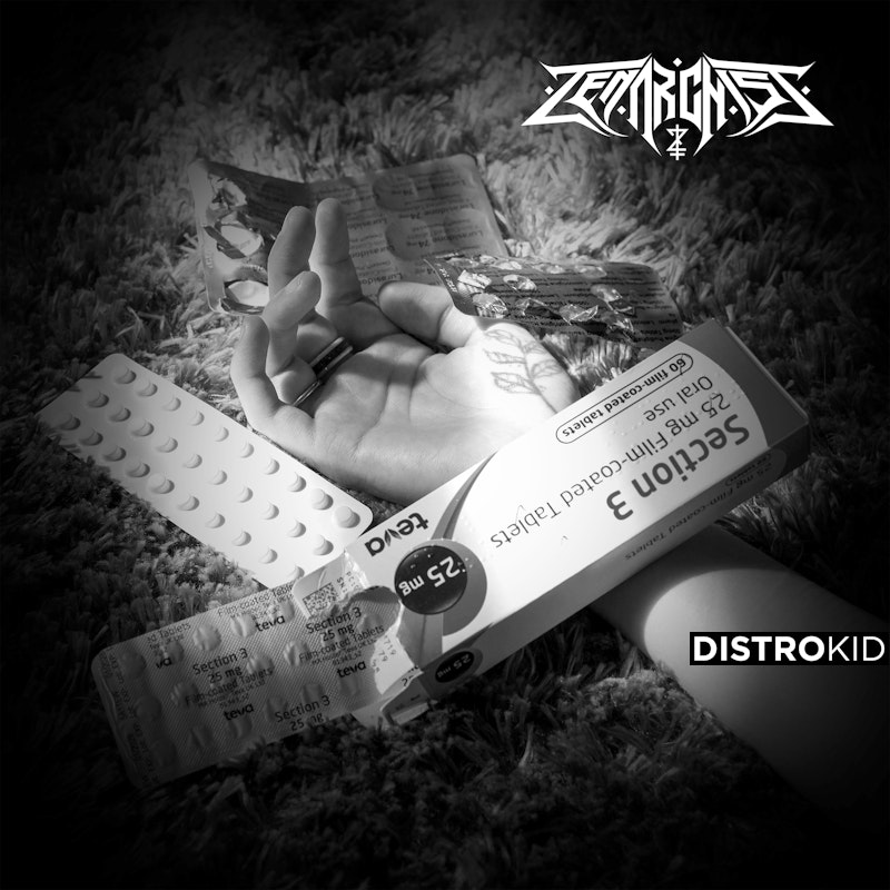 STREAM "SECTION 3" NOW! thumbnail