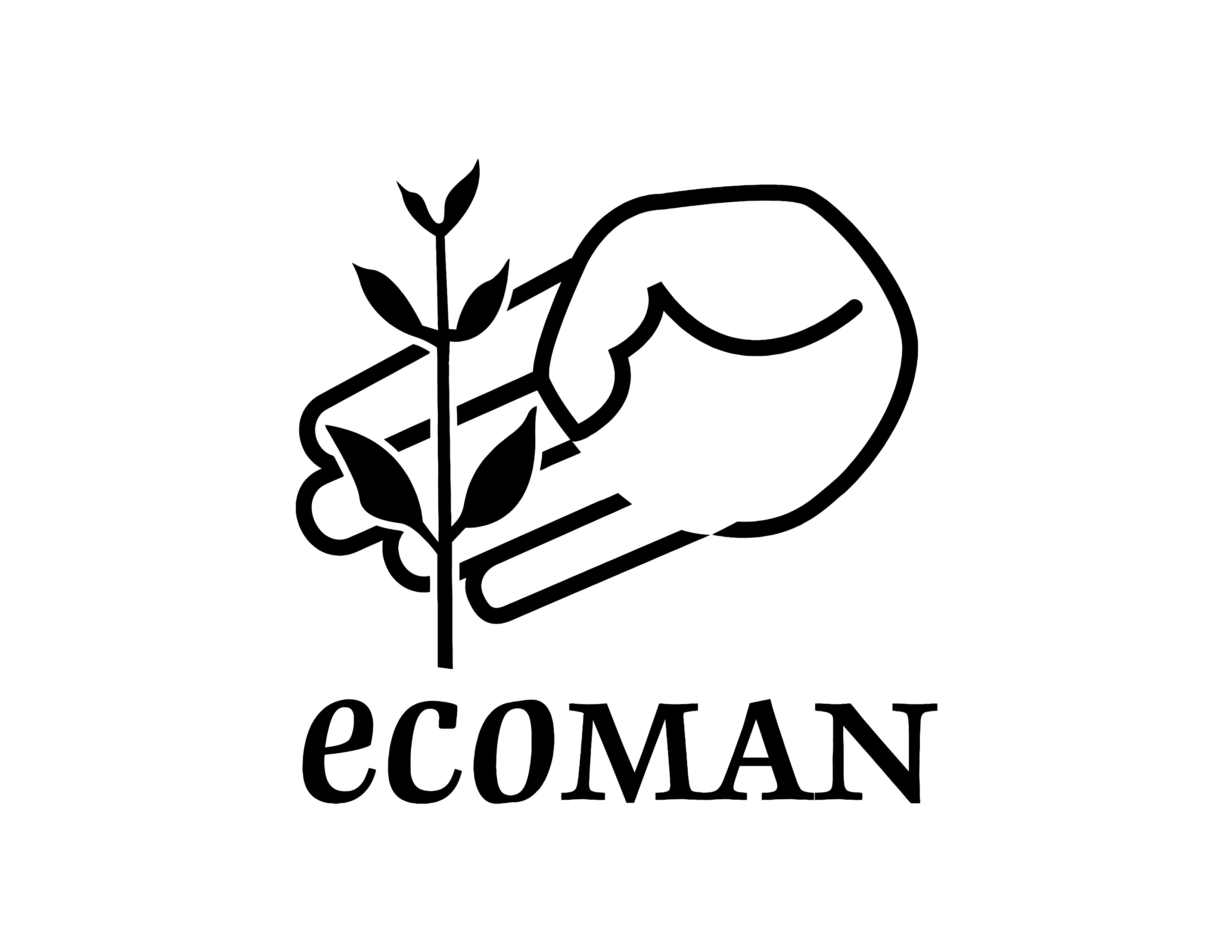 Ecoman - Design, Installation and Gardening Services thumbnail