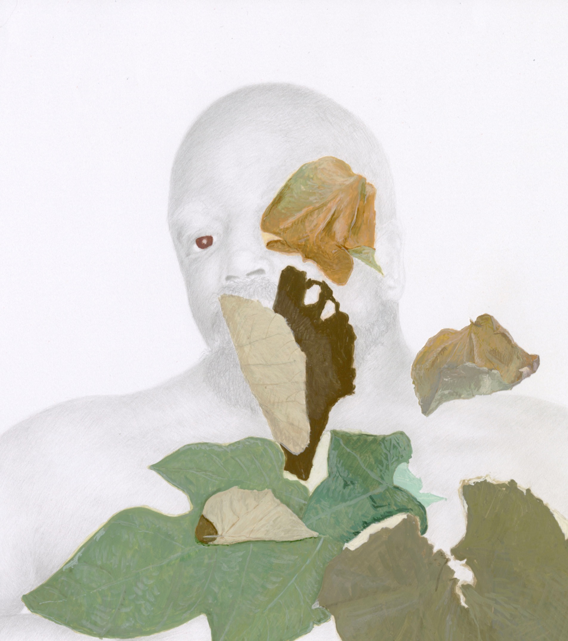 Metamorphōsēs thumbnail