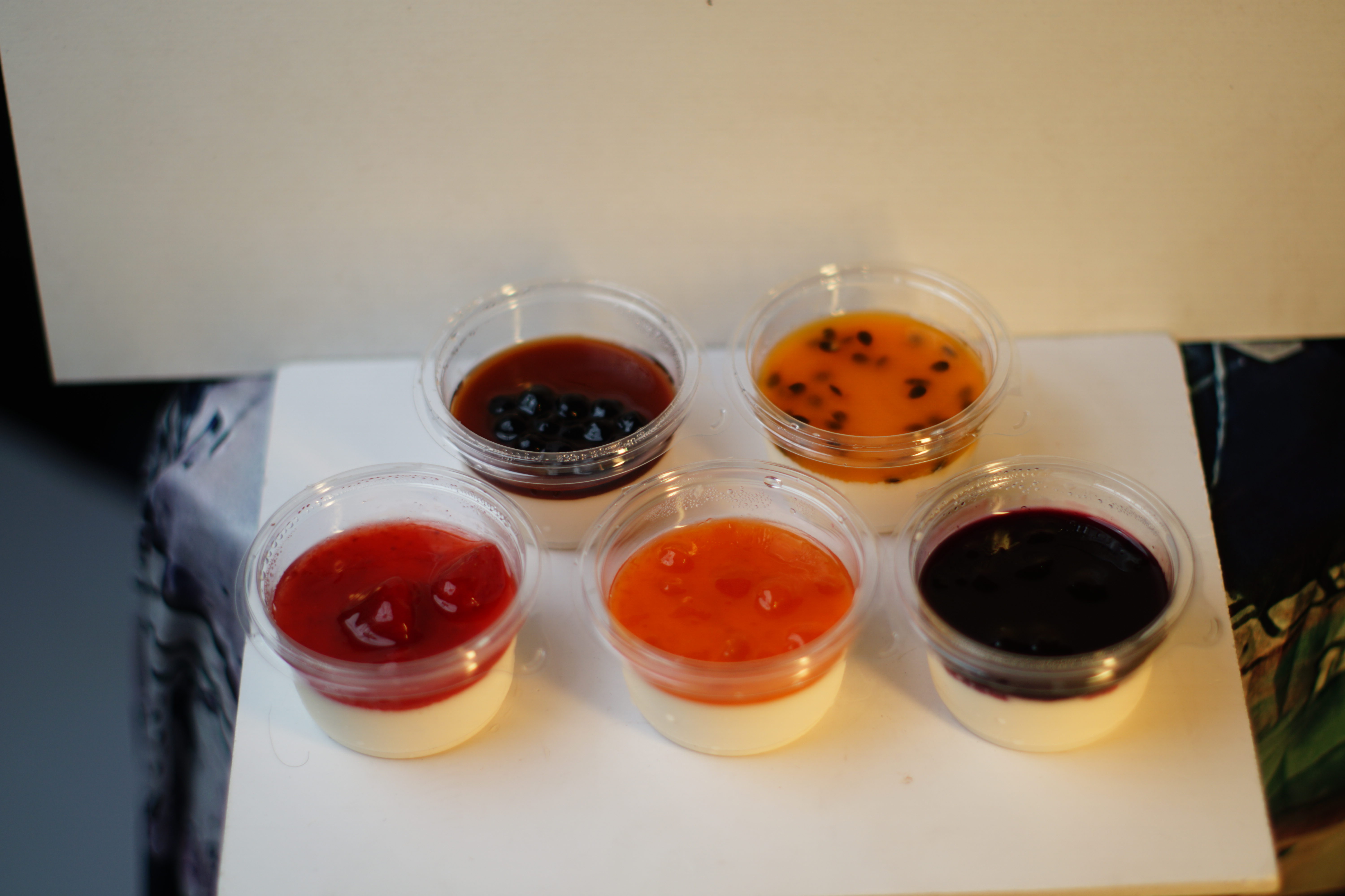 PANACOTTA thumbnail