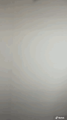 Daryn Button Stud Earrings thumbnail