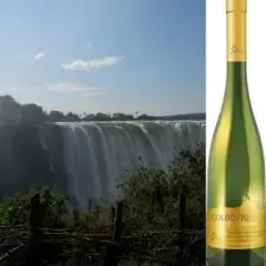 VINUL DE COTNARI CUCERESTE AFRICA thumbnail