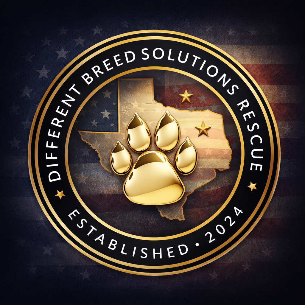 Website | DBS Rescue | Save & Help Dogs thumbnail