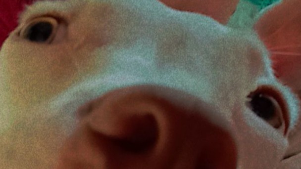 BioSite banner for @lasso