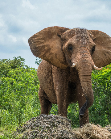 Newsletter thumbnail