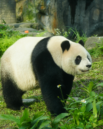 Join Our Team thumbnail