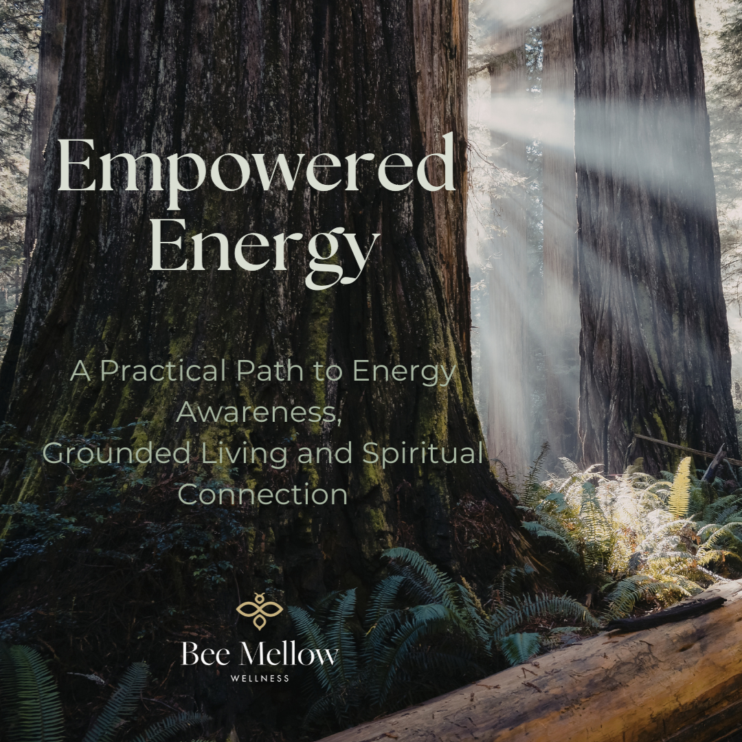 EMPOWERED ENERGY - A PRACTICAL PATH TO ENERGY AWARENESS & GROUNDED LIVING thumbnail