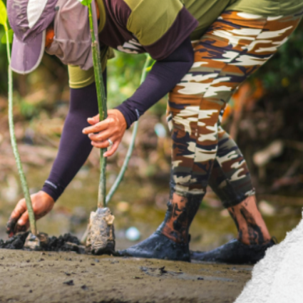 Restauração Ecológica e Educação Climática na Baixada Fluminense | Roquette Pinto thumbnail