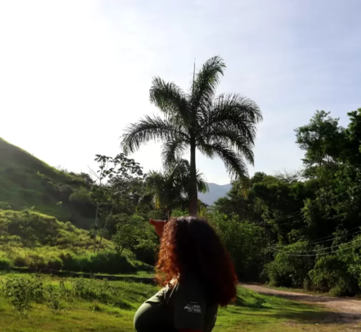 Projeto vai restaurar áreas da Reserva do Tinguá e mobilizar escolas da Baixada contra mudanças climáticas thumbnail