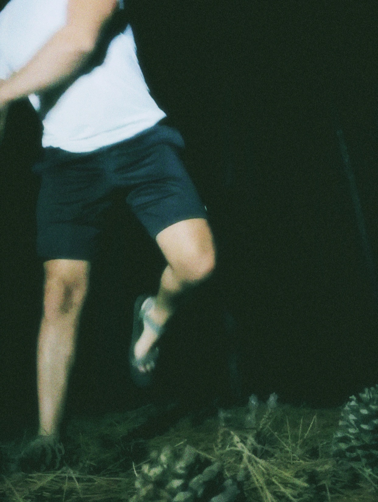 NIGHTINGALES listening party 22.08.25 ! thumbnail