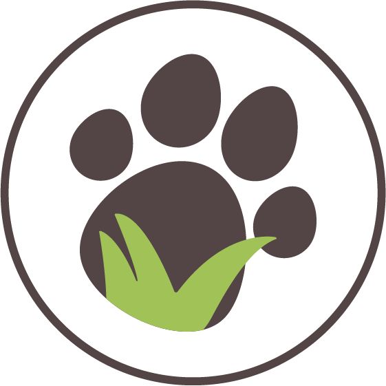 Shopify Website: Dog Tuff™ Grass thumbnail