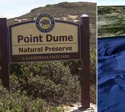 Train and Customize Your AI Assistant Effortlessly with BrainyBear thumbnail