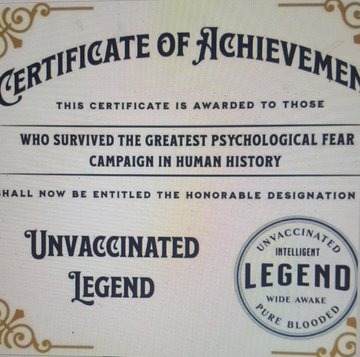 Time Travelers: Comics, Collectible Toys, & TCGs thumbnail