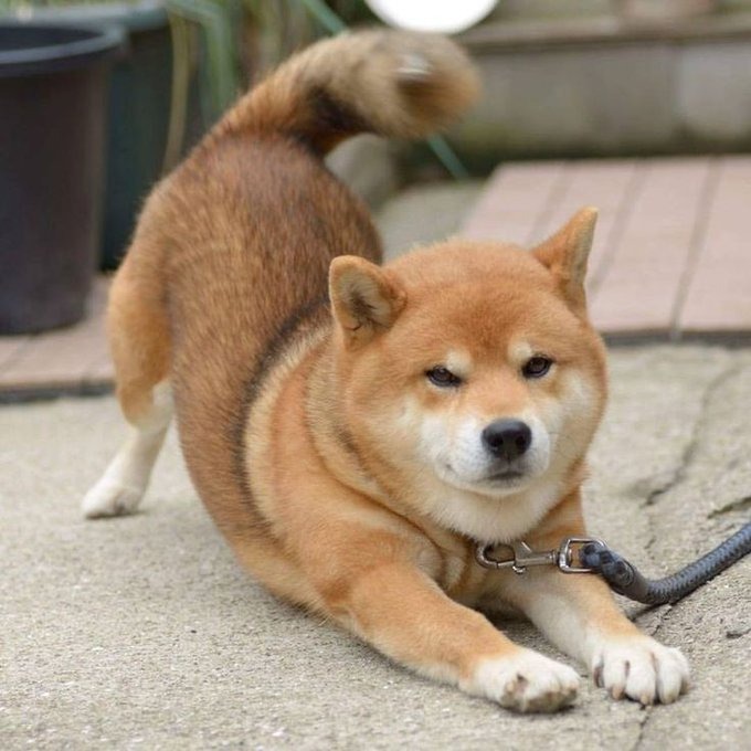 ADHD-friendly AI Note app thumbnail