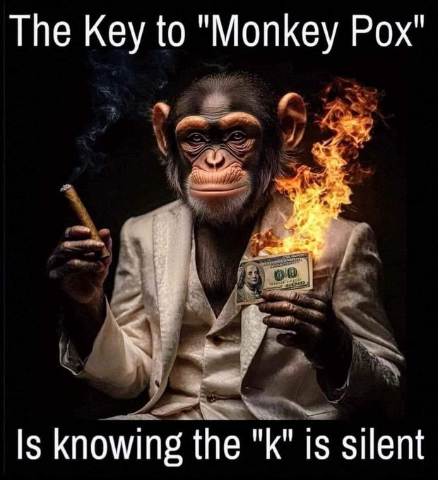 MEGA: Protect your Online Privacy thumbnail