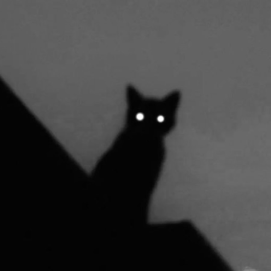 заратустра thumbnail