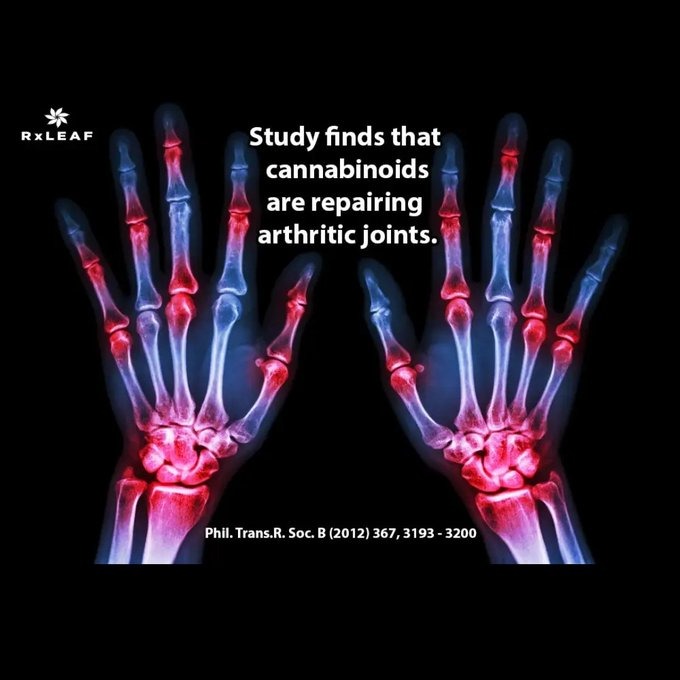 Uncensored AI Image Generator thumbnail