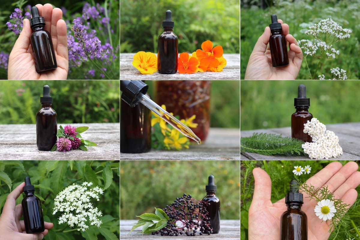 20+ Herbal Tincture Recipes (for Homemade Herbal Medicine) thumbnail