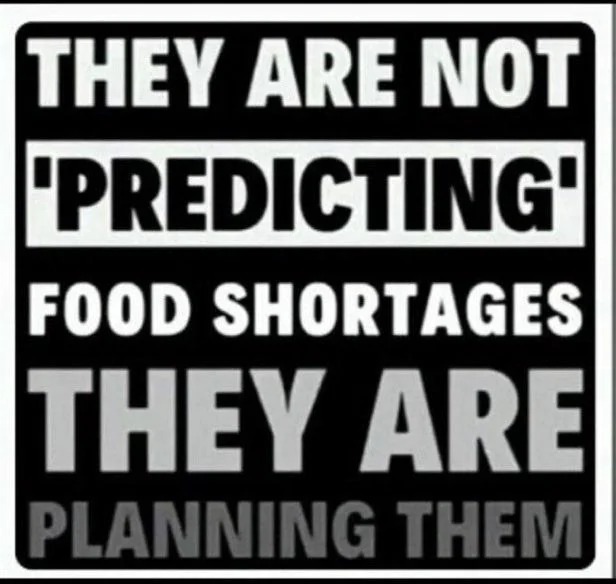 CodeDesign.ai | AI Website Builder thumbnail