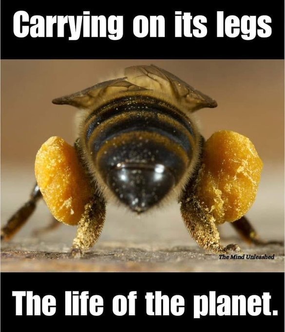 Loom-style videos for sales teams, personalized at scale with AI thumbnail