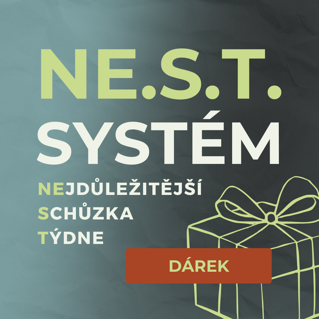 Video zdarma: schůzka sám se sebou (ČIŠTĚNÍ) thumbnail