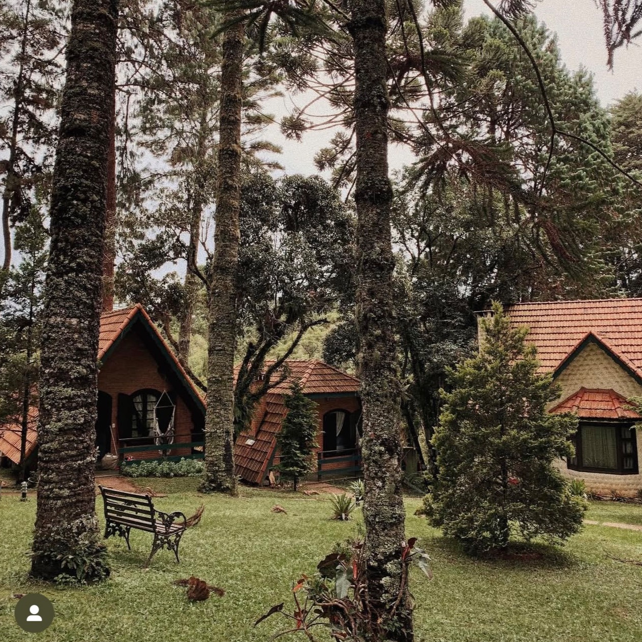 Bosque Encantado - Monte Verde / MG thumbnail