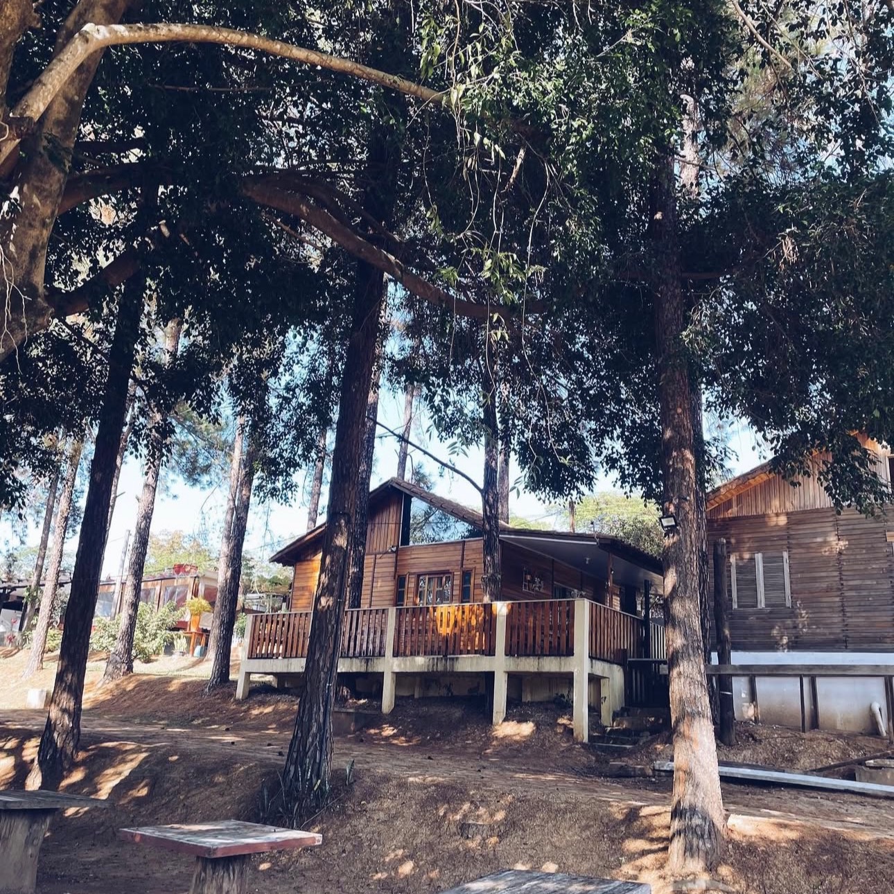 Camping Roots - Itu thumbnail