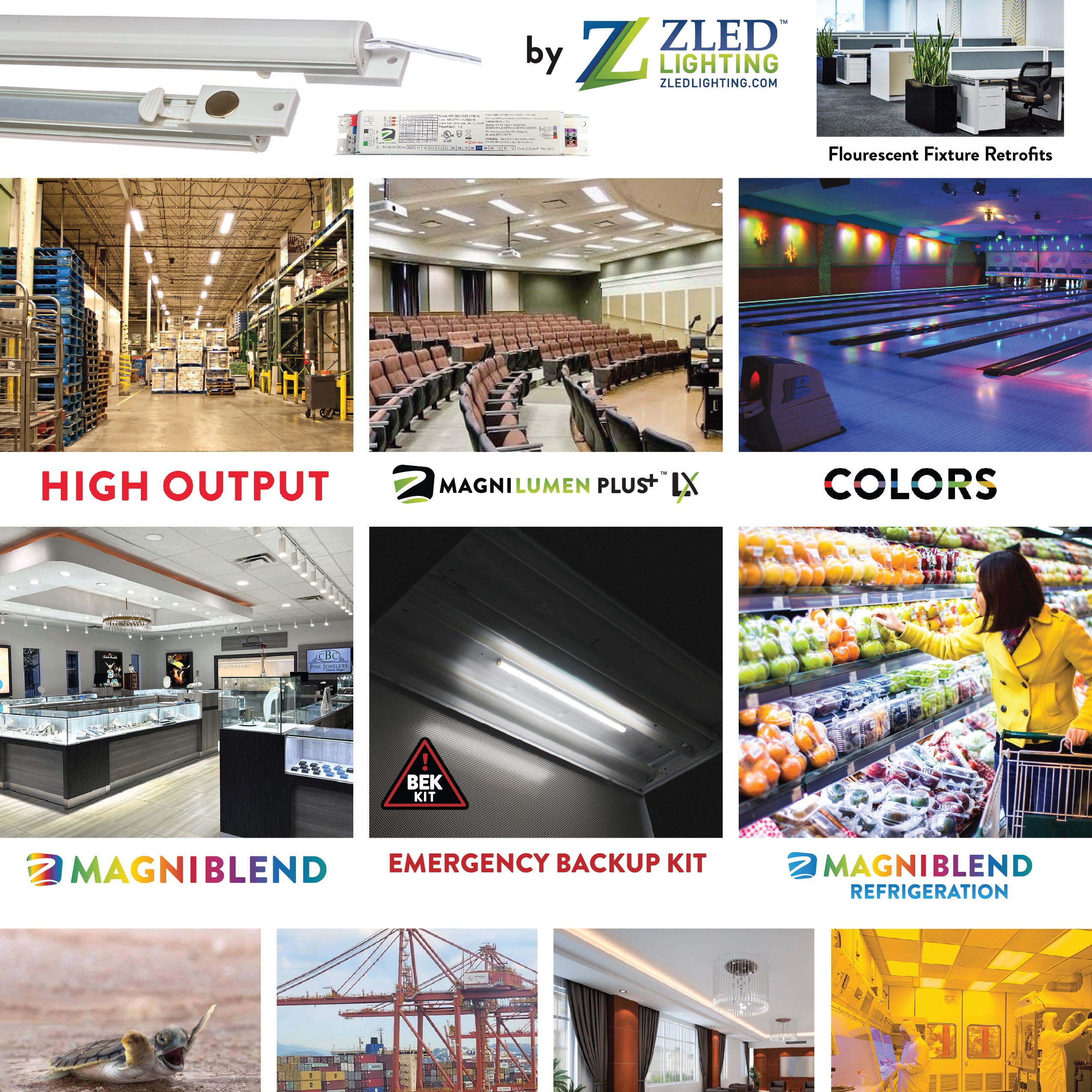 Magnilumen Plus Brochure thumbnail