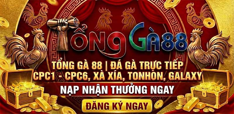 TỔNG GÀ 88 ⭐️ ĐÁ GÀ TRỰC TIẾP CPC1 - CPC6, XÀ XÍA, TONHON, GALAXY thumbnail