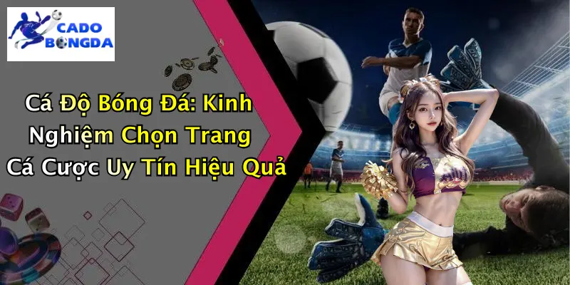 Cá Độ Bóng Đá: Kinh Nghiệm Chọn Trang Uy Tín Hiệu Quả thumbnail