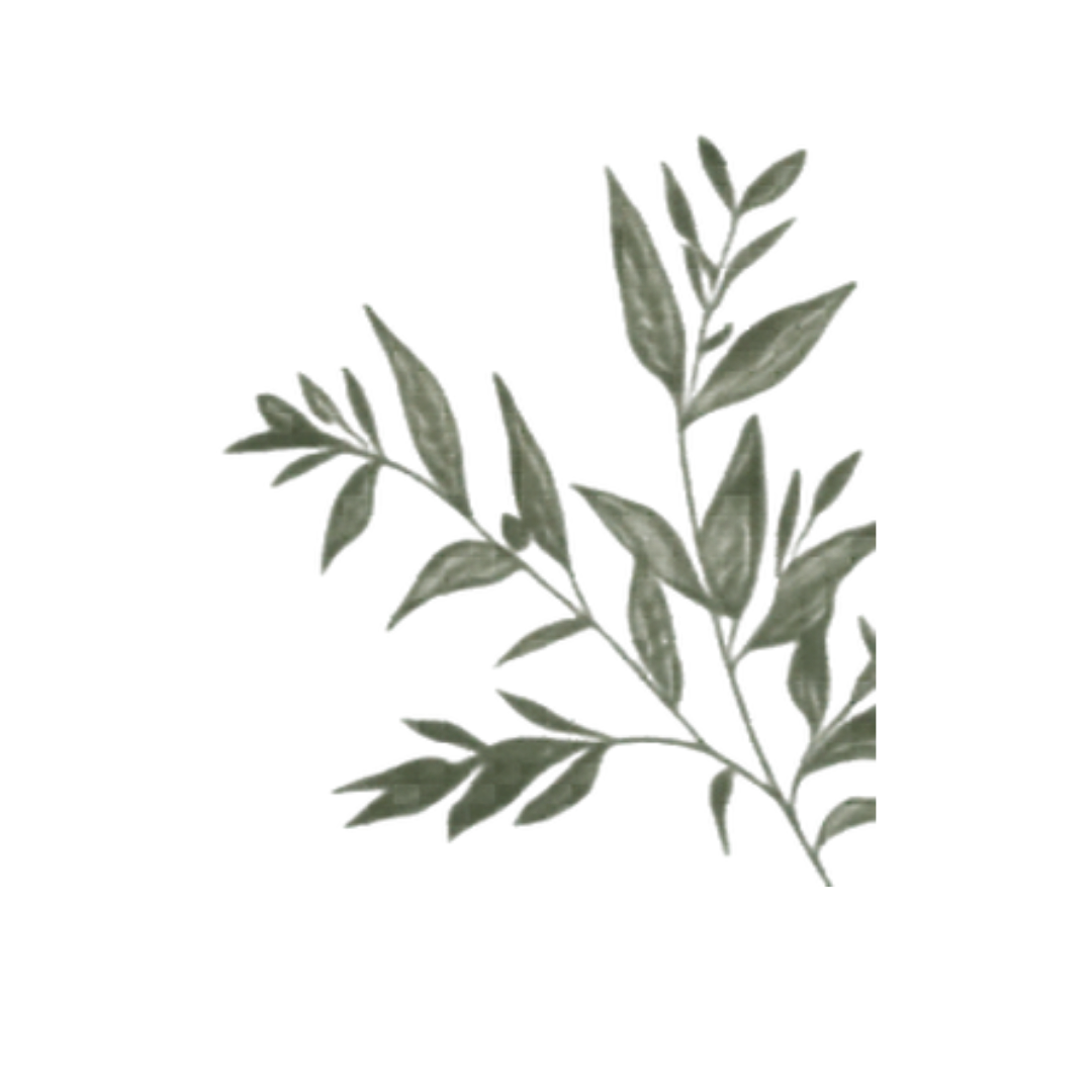 Join Silk & Iron thumbnail