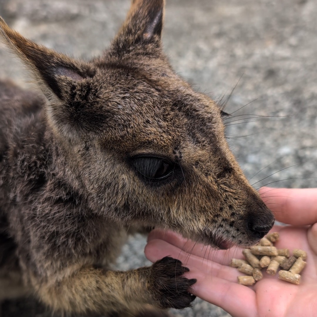 Read Our Blog thumbnail