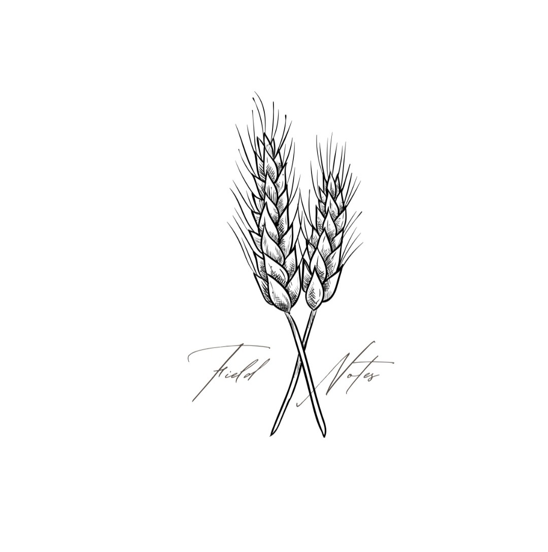 Substack— “Field Notes” thumbnail