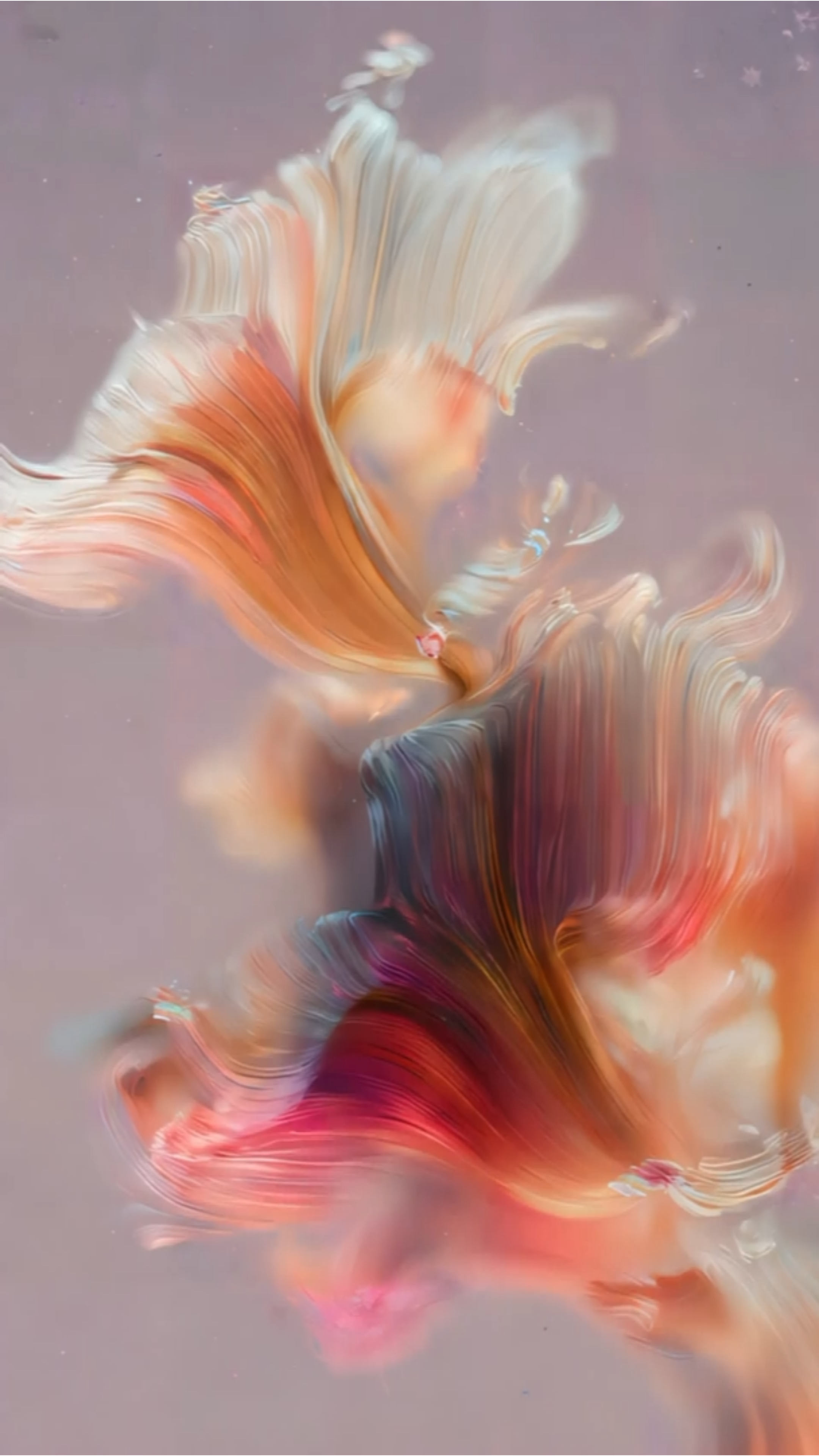 Infinite Mantra | Manifold | NFTs thumbnail