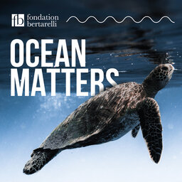 LISTEN: Ocean Matters thumbnail
