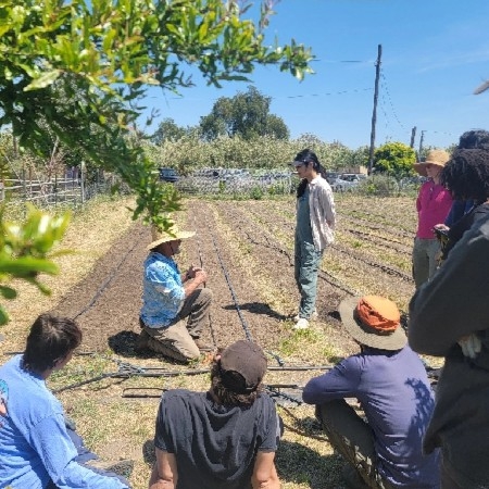 Farm School | Wild Willow Farm  thumbnail