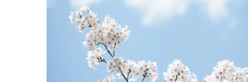 Faith In Bloom Newsletter thumbnail