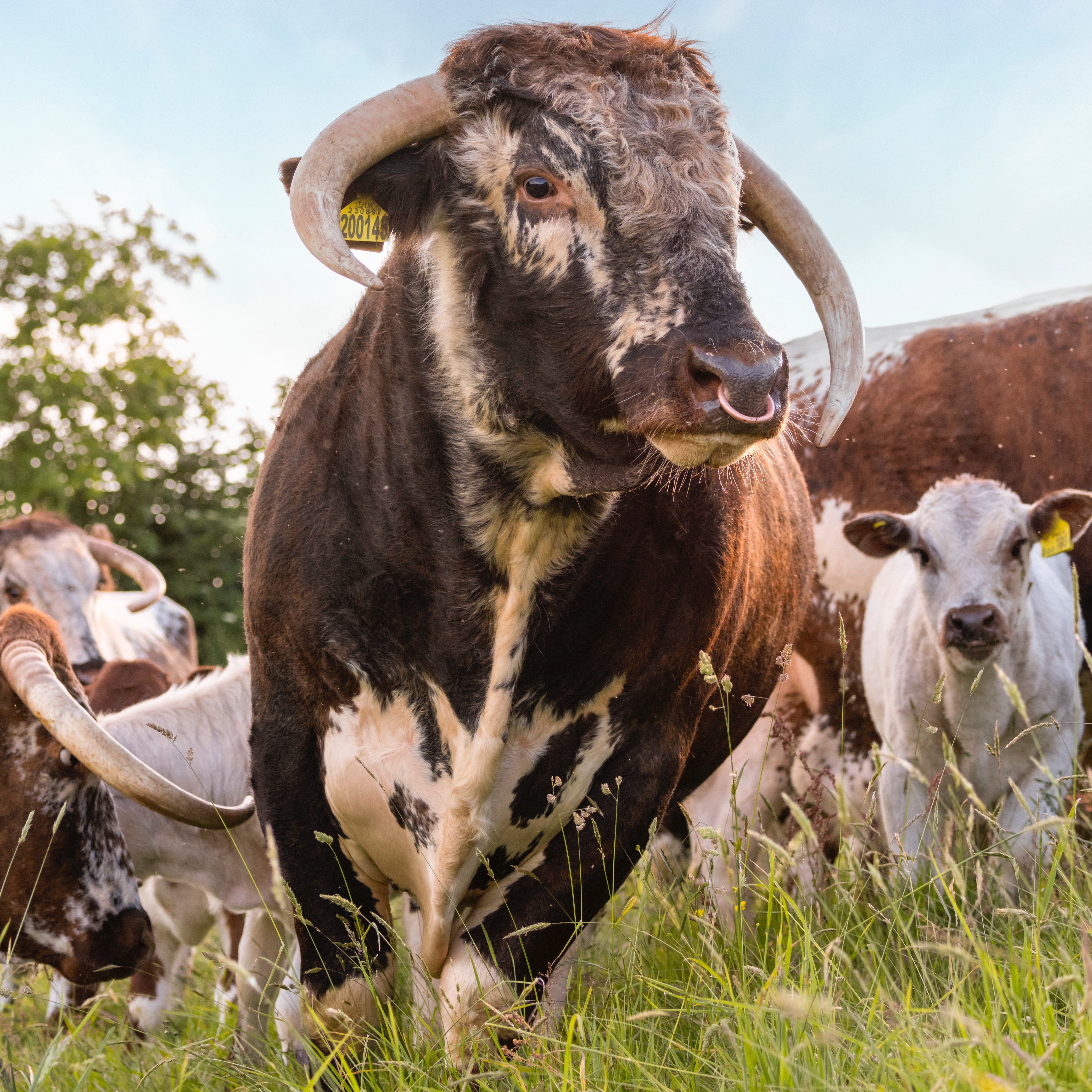 life on the farm thumbnail
