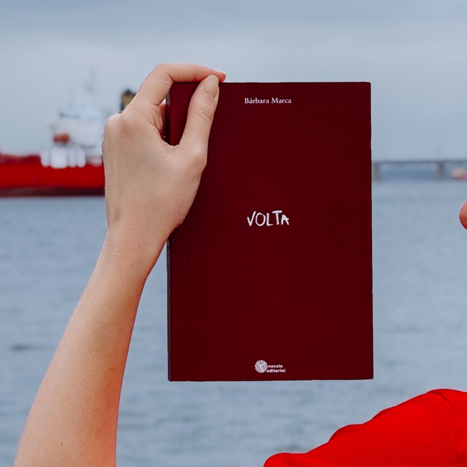 Livro Volta | Site Editora thumbnail