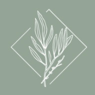 Willow Massage and Wellness - Website thumbnail