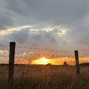 Listen to "Samphire" on YouTube thumbnail